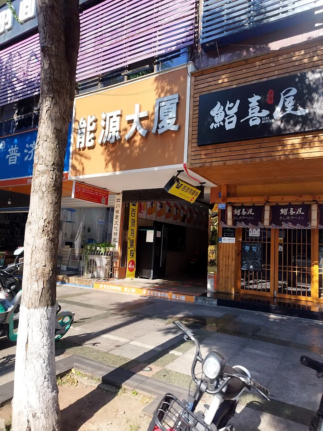 百灵鸟健身