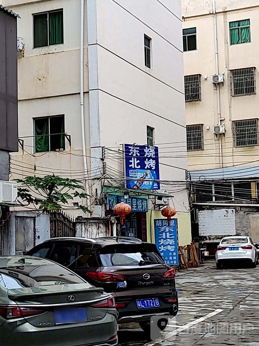 胡同里东北烧烤(东湖西路店)