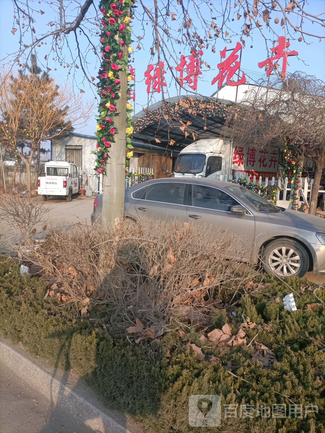 峡山绿博花卉