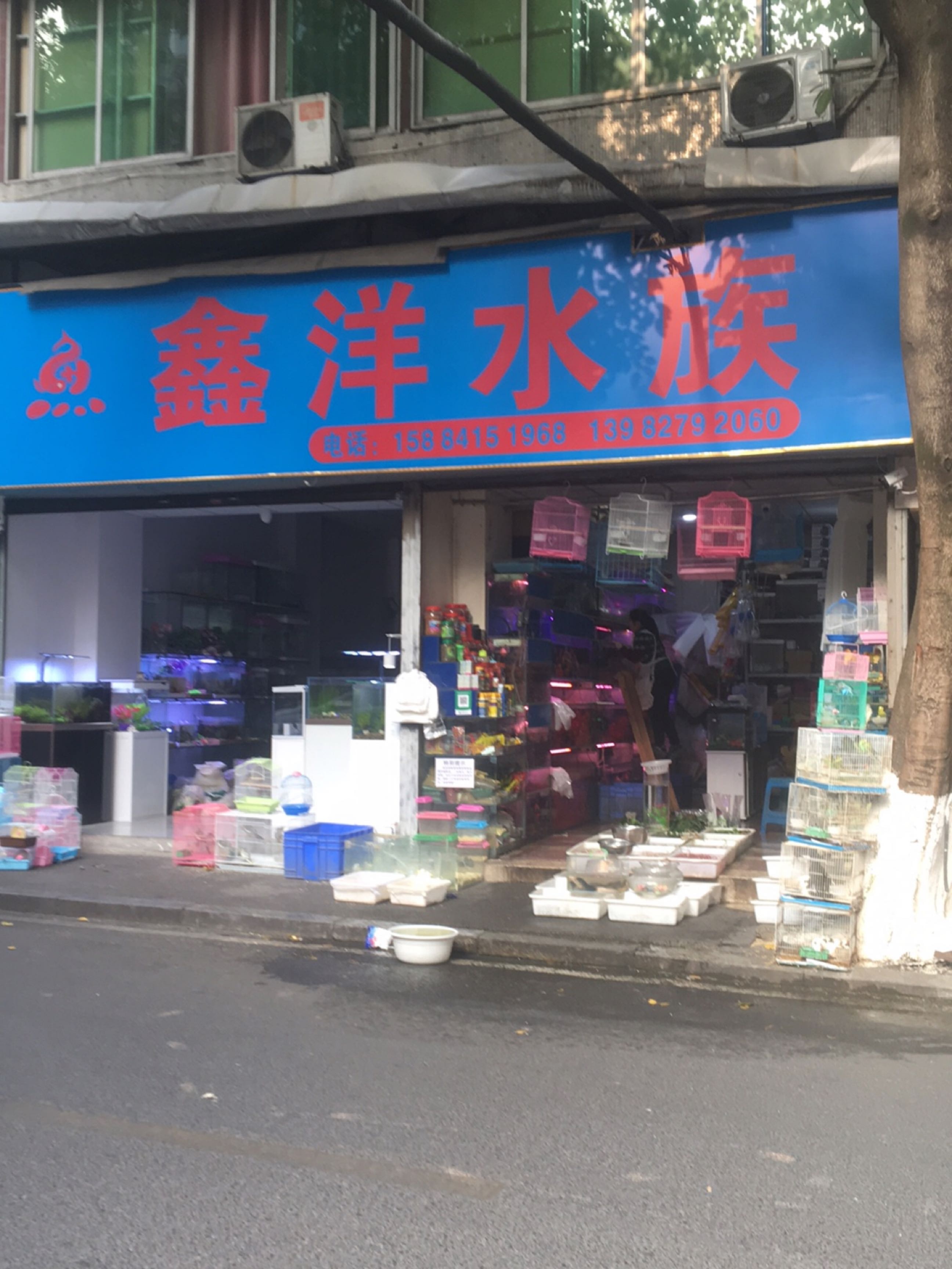 鑫洋水族