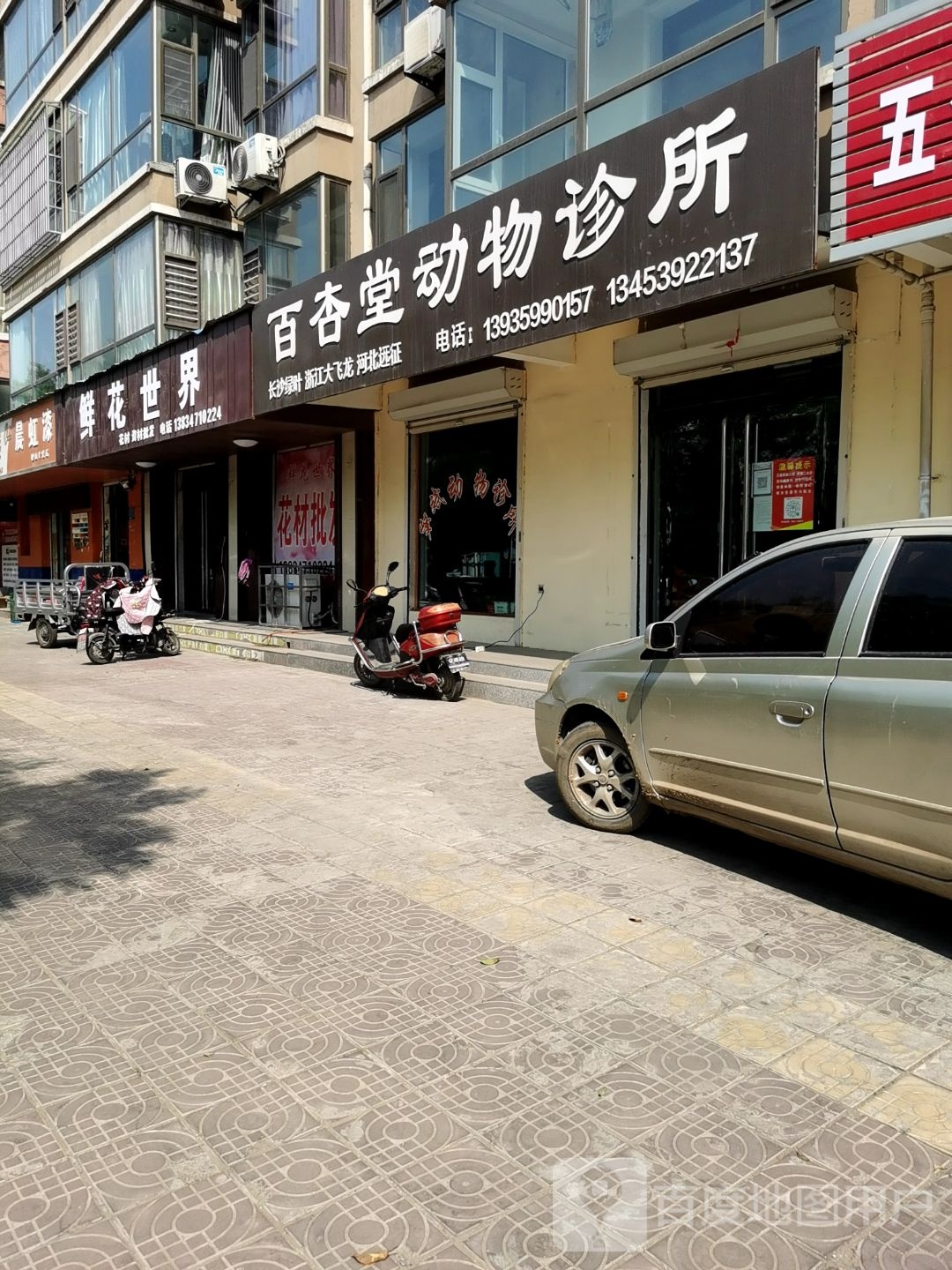 鲜花世界(梅馨苑店)