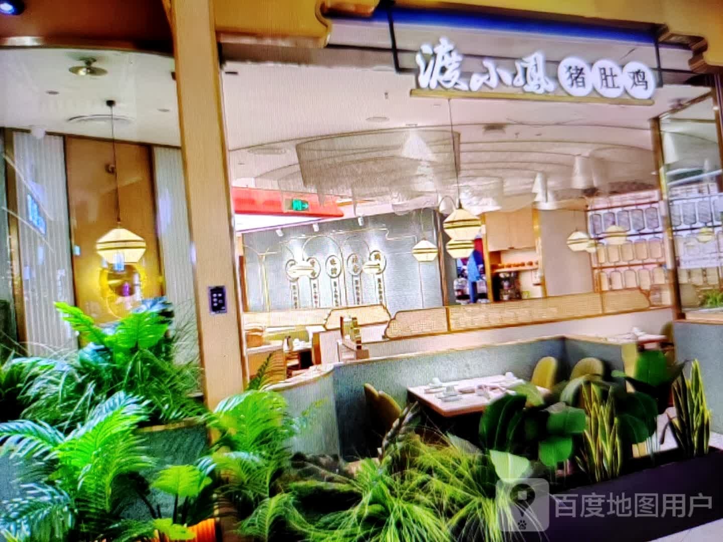 渡小凤猪肚鸡汤火锅
