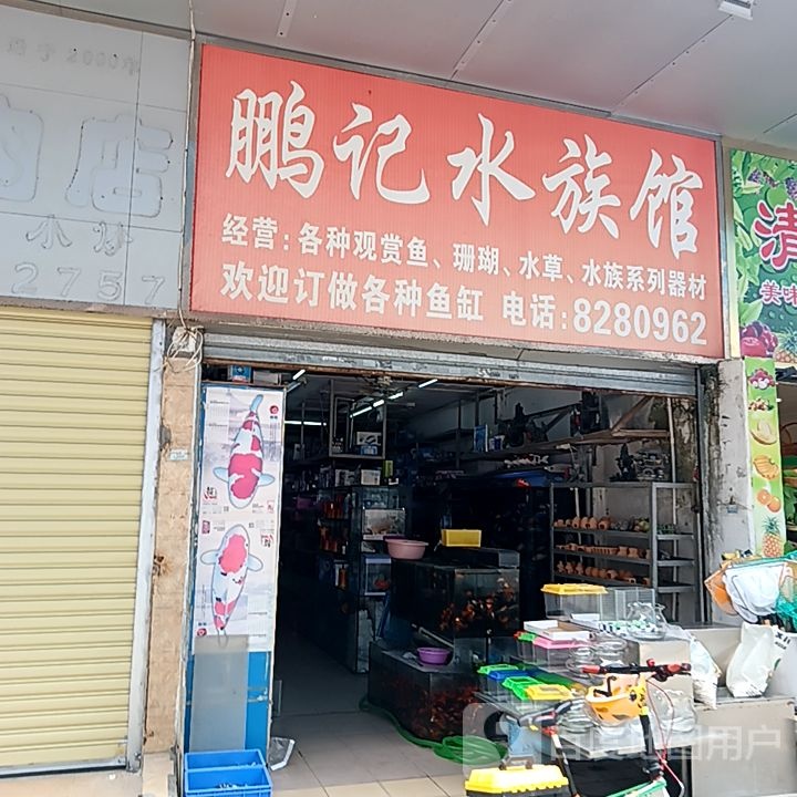 鹏记水族馆(滨海商业中心店)