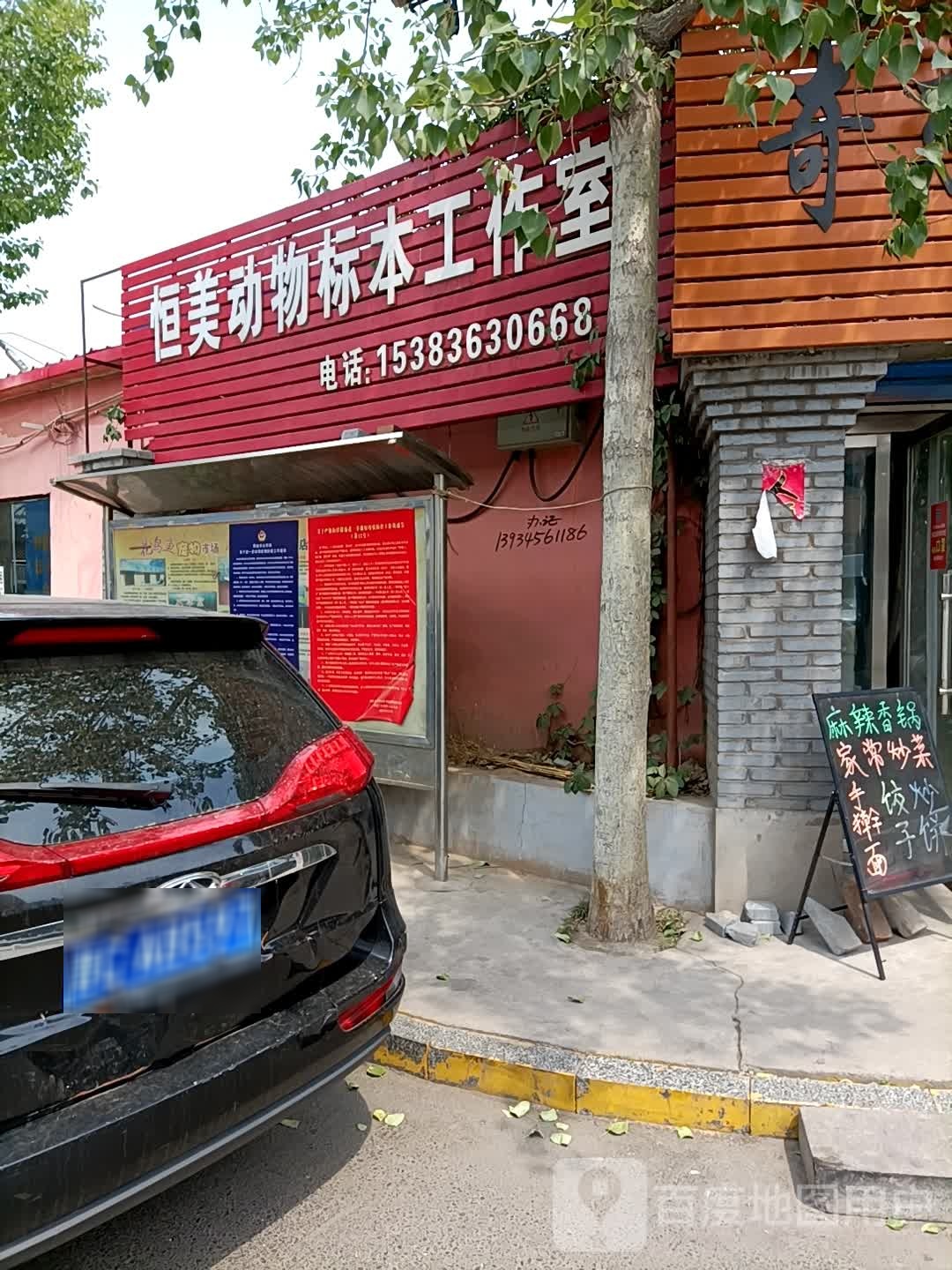 恒美动物标本(泉东路店)