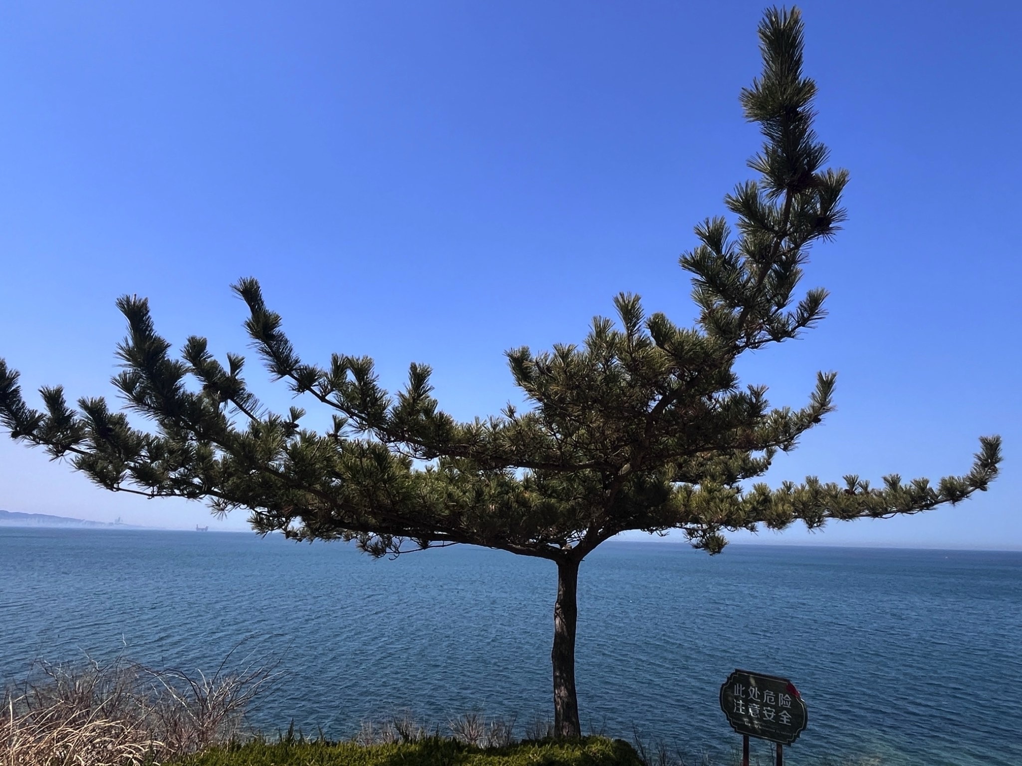 莲花夕照