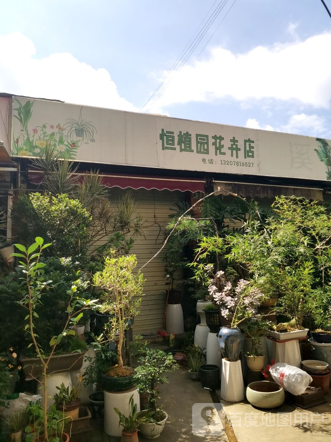 恒植园花卉店