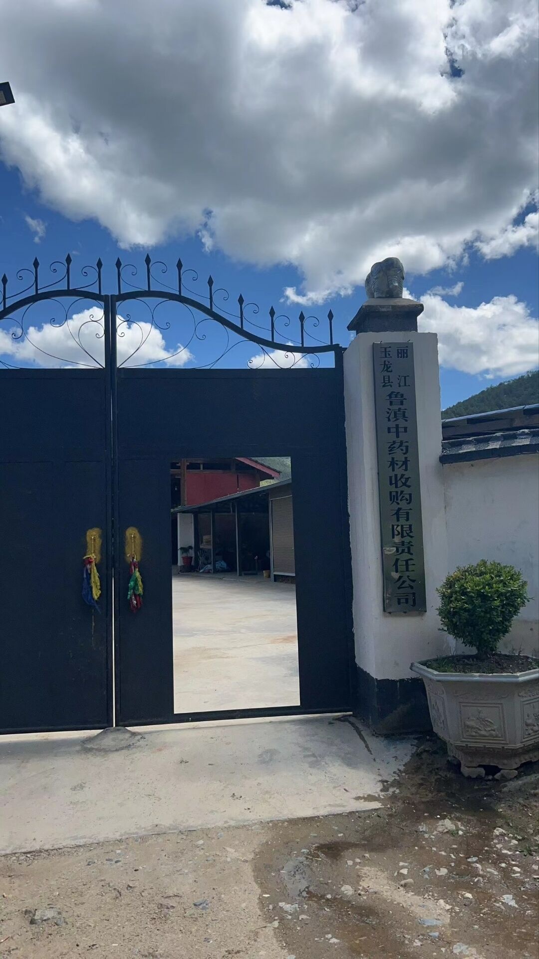 丽江玉龙县鲁滇中药材收购有限责任公司