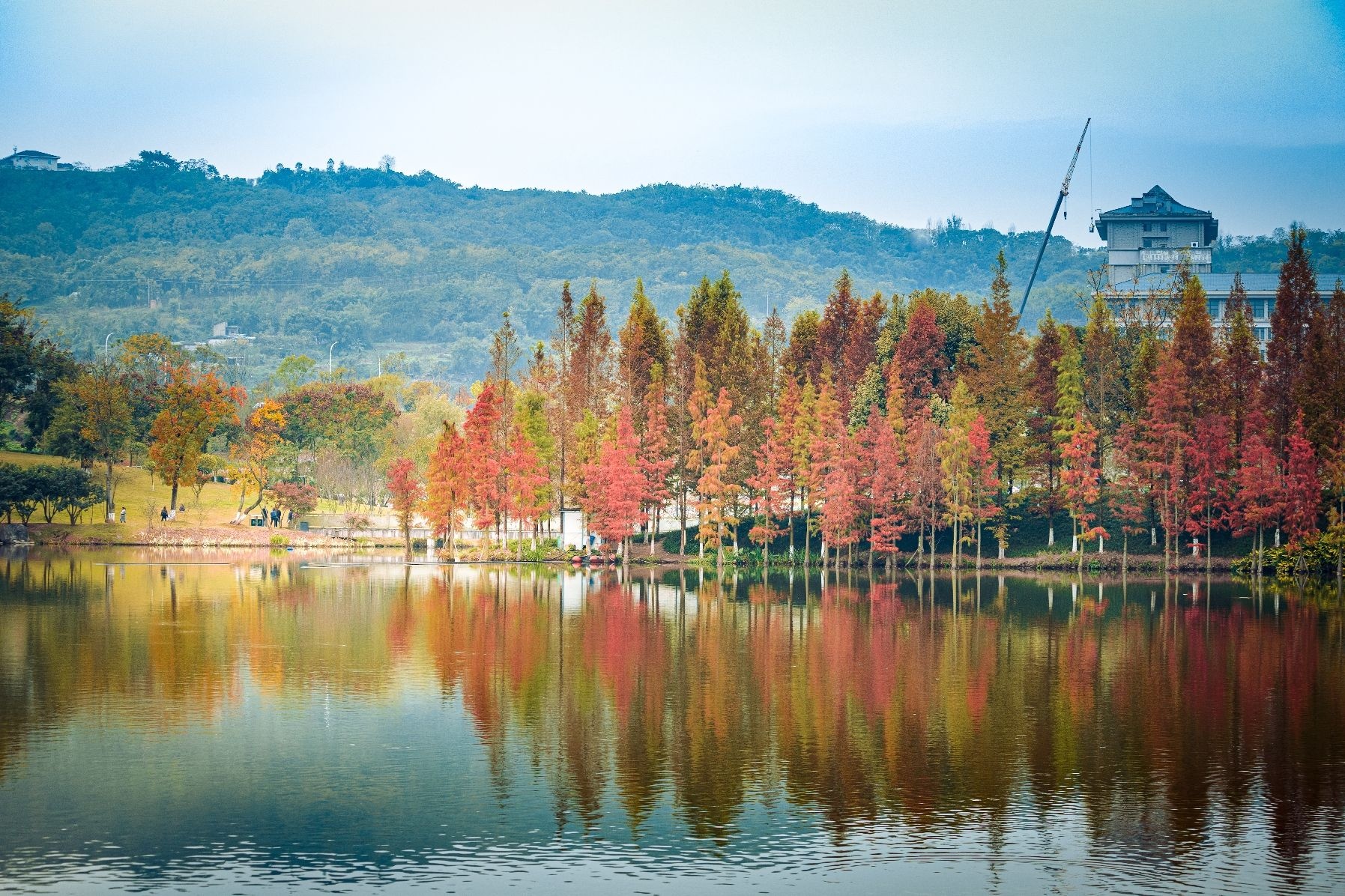 铜鼓湖湿地公园