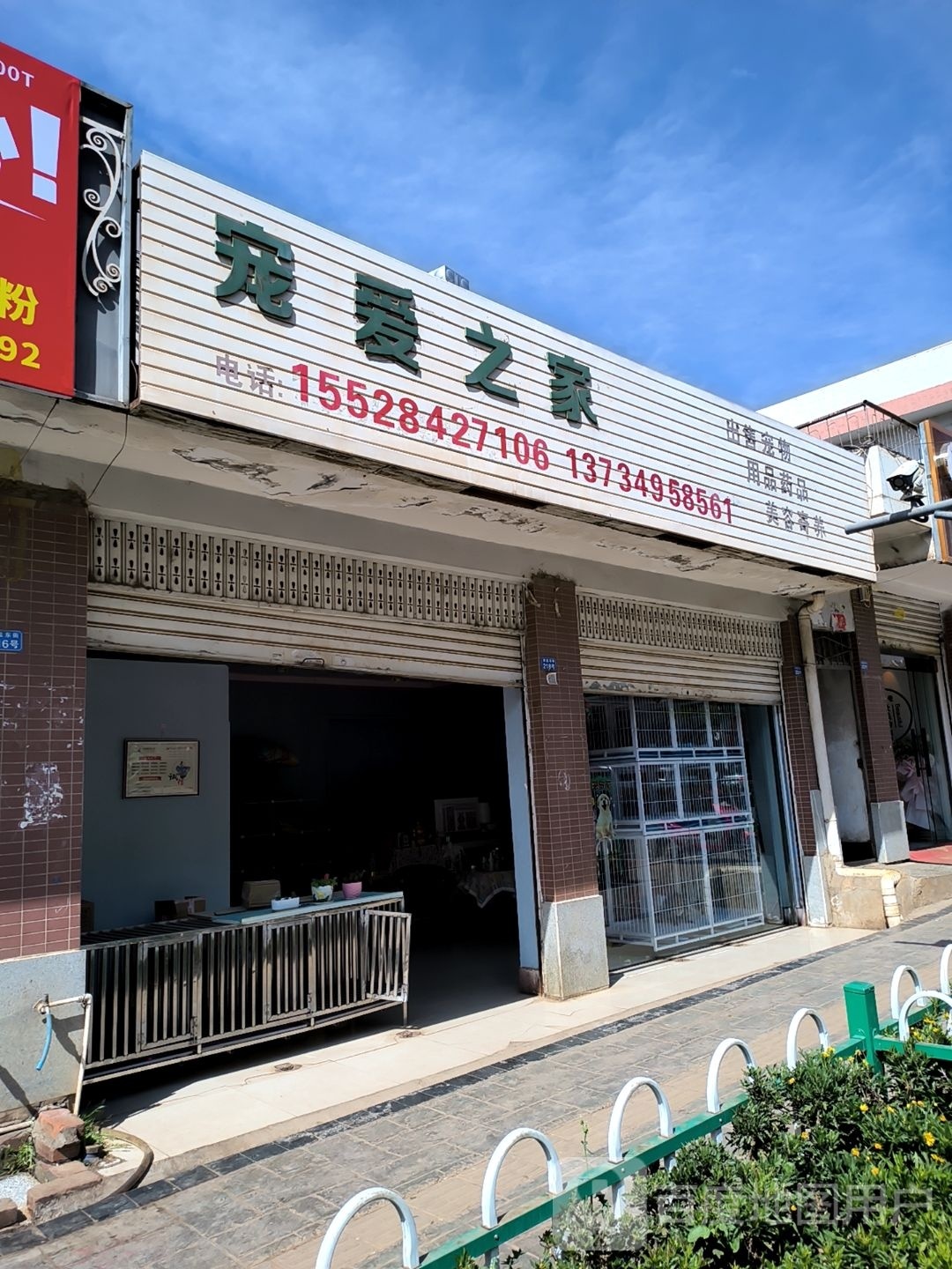 宠爱之家