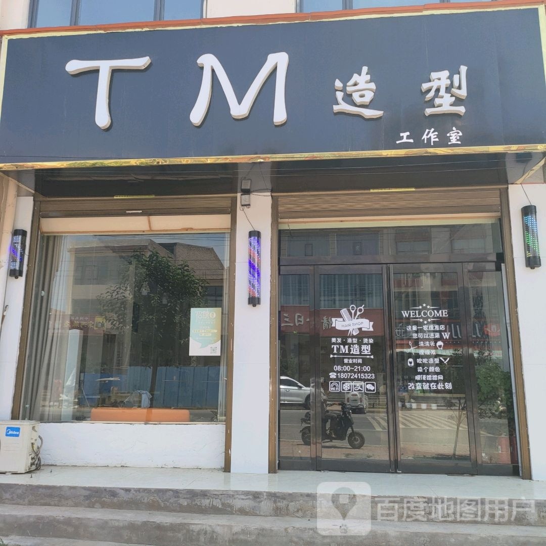 TM号造型