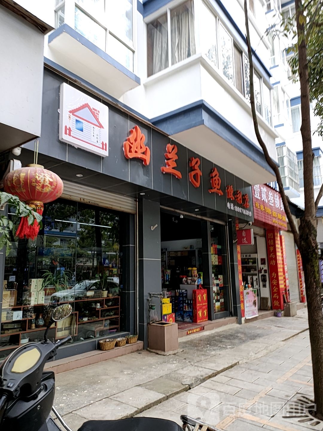 幽兰子鱼便利店
