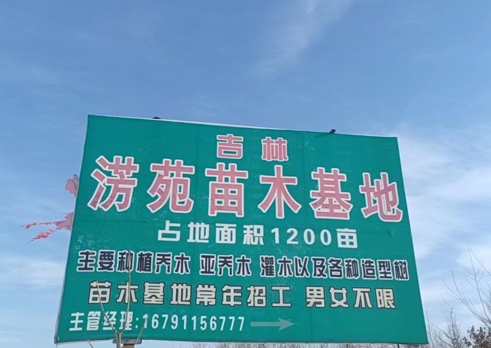 吉林省吉林市龙潭区淓苑苗木种子繁育基地