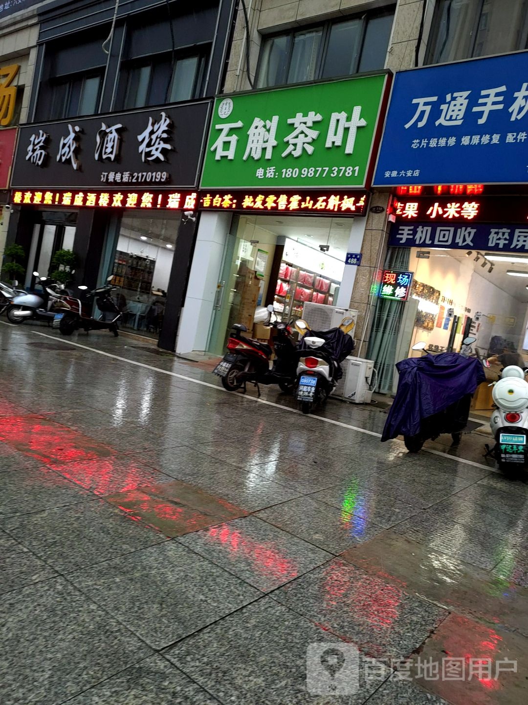石斛茶叶