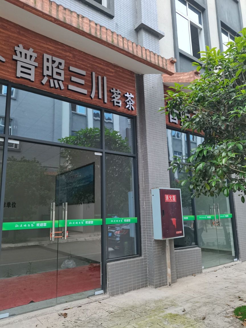 普照山川(茗茶)