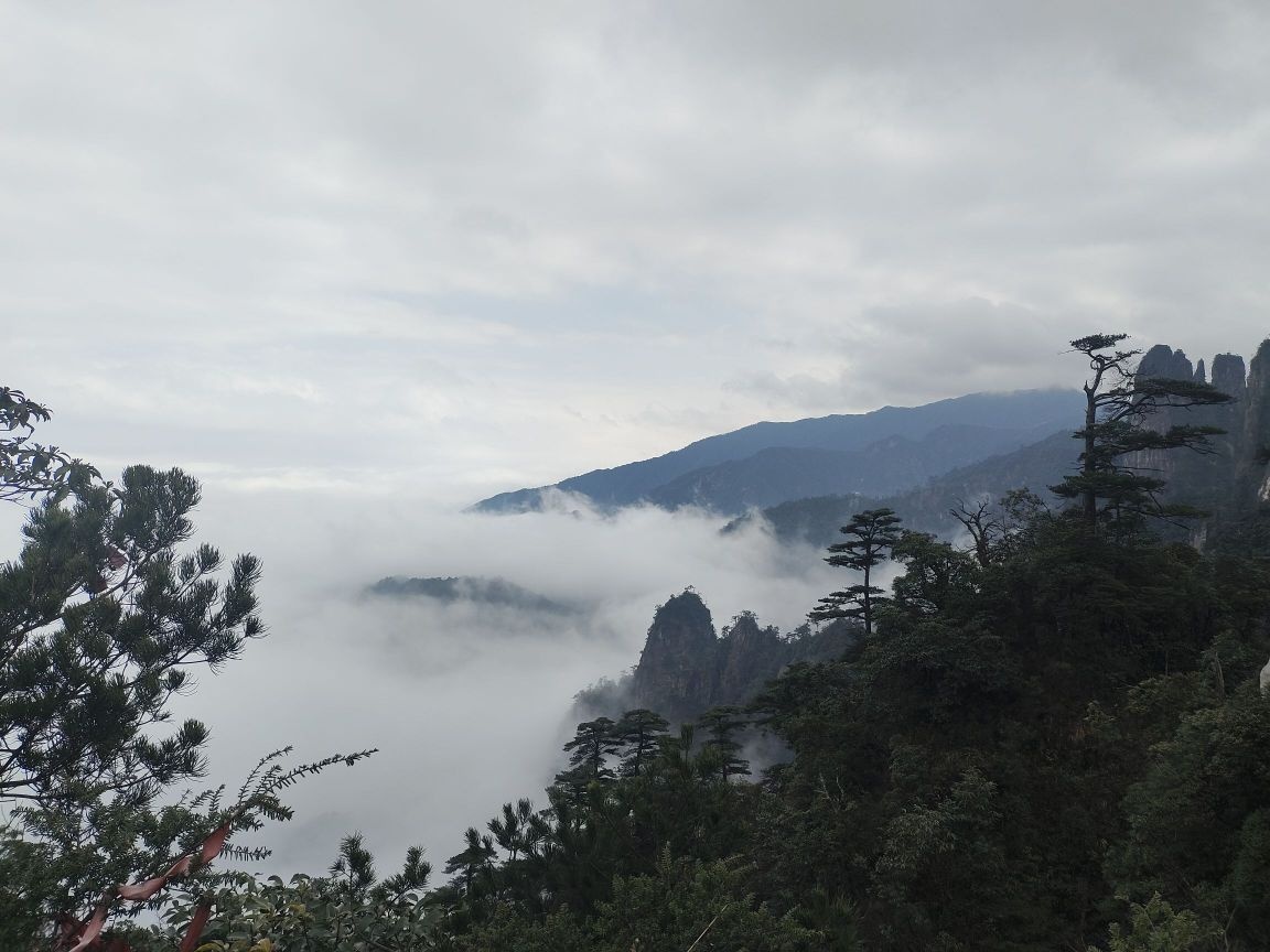 莽山旅游区(东门)-游客中心