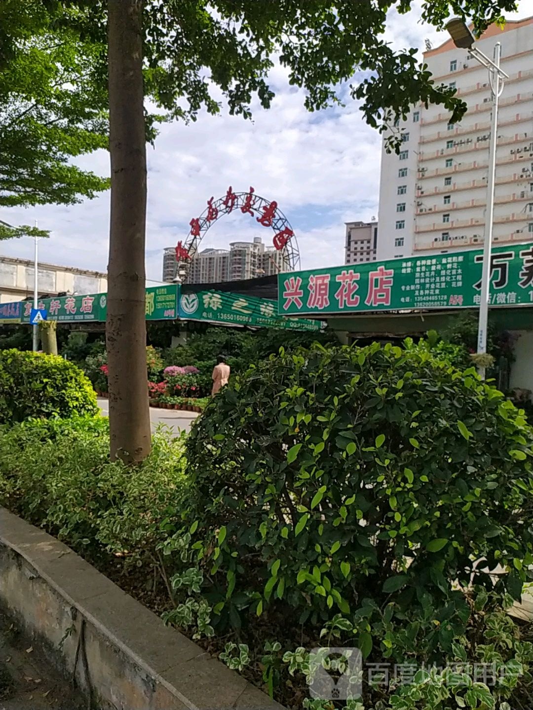 兴源花店(常平店)