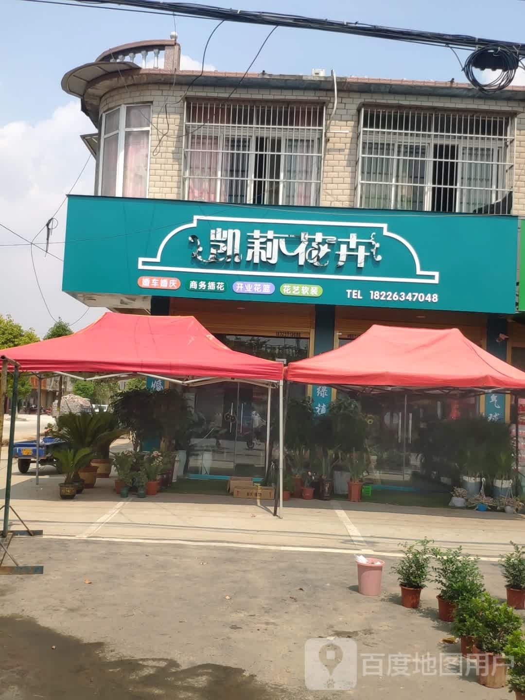 凯莉花鸟