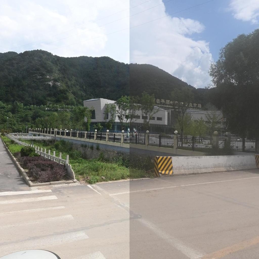 山西省平顺中药材专业市场