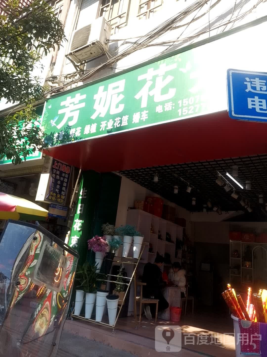 芳妮花卉