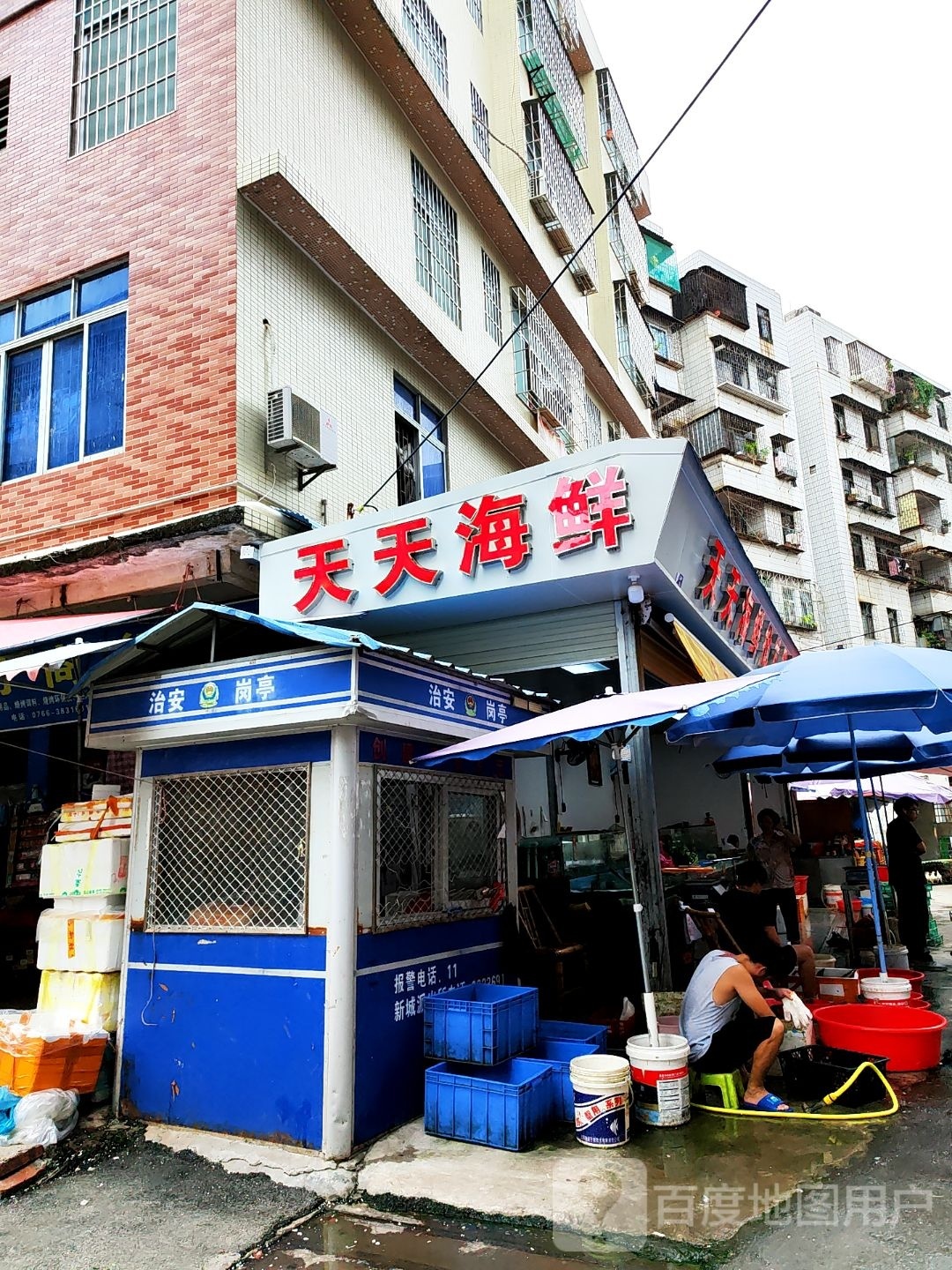 天天生猛海鲜店(人民南路店)