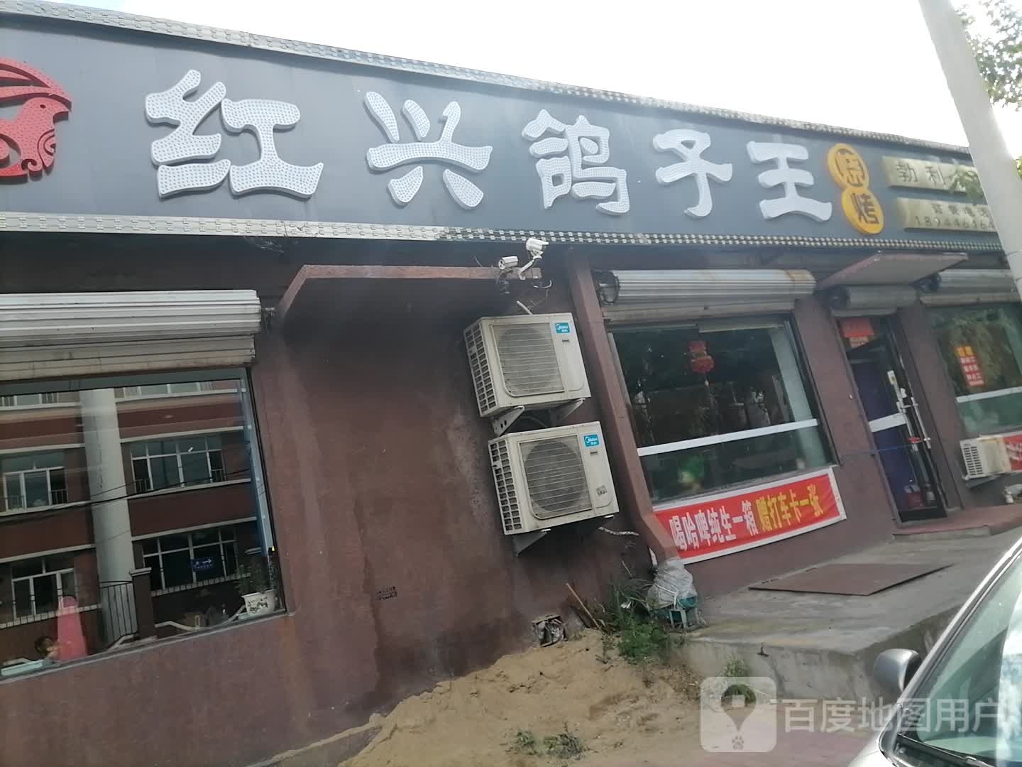红兴鸽子万王