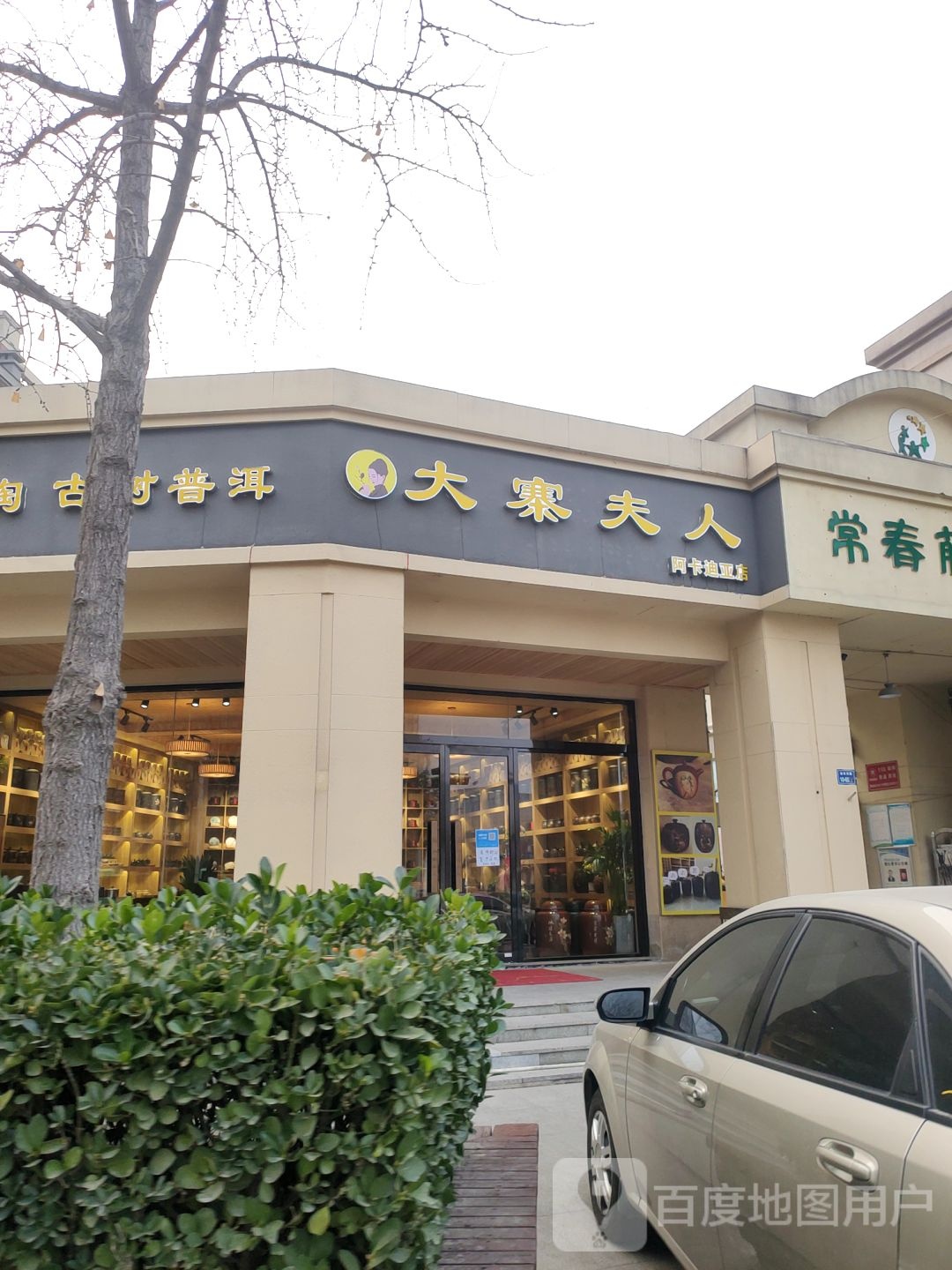 大寨夫人古树普洱(阿卡迪亚店)