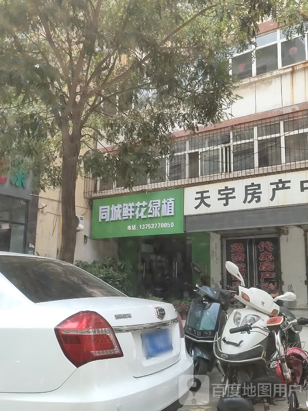 同城鲜花绿植汾西店