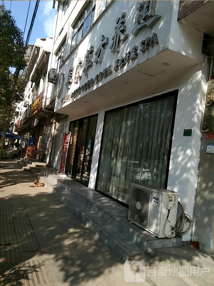 大龙姜康曹方养道