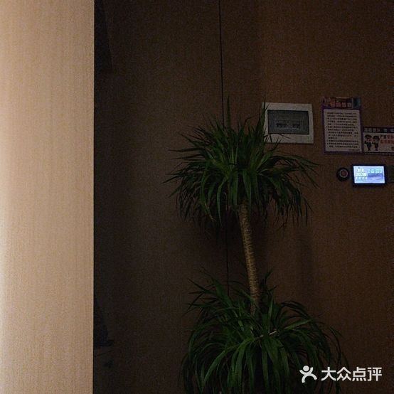 凯尔蒙·SPA·足浴·自助餐·养生会所