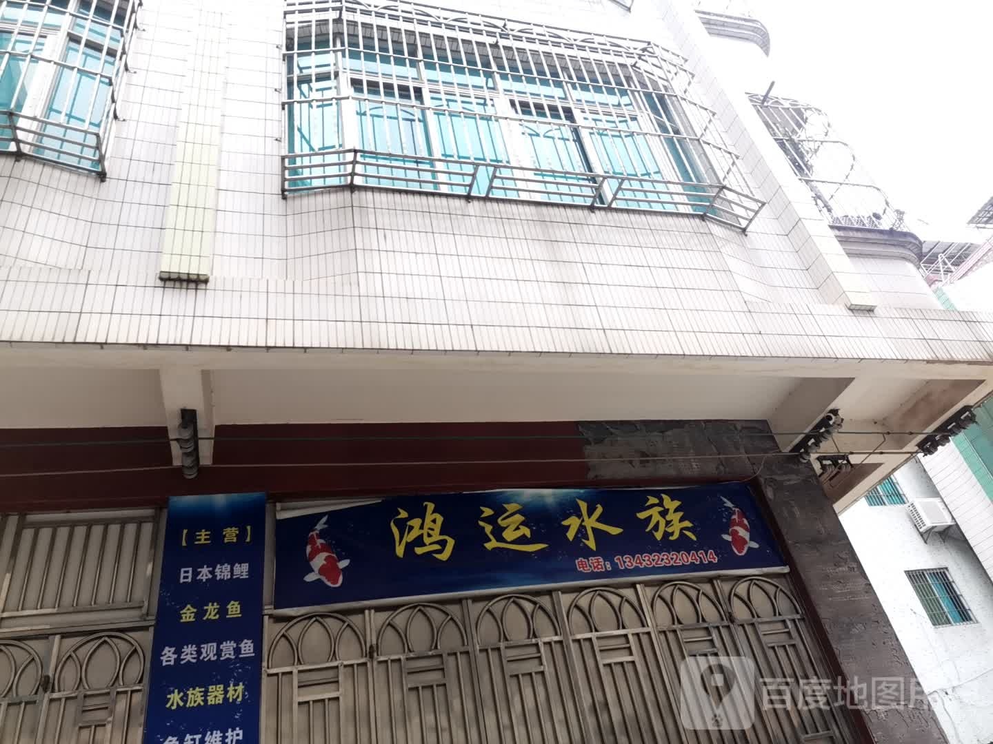 鸿运水族(文明西路店)