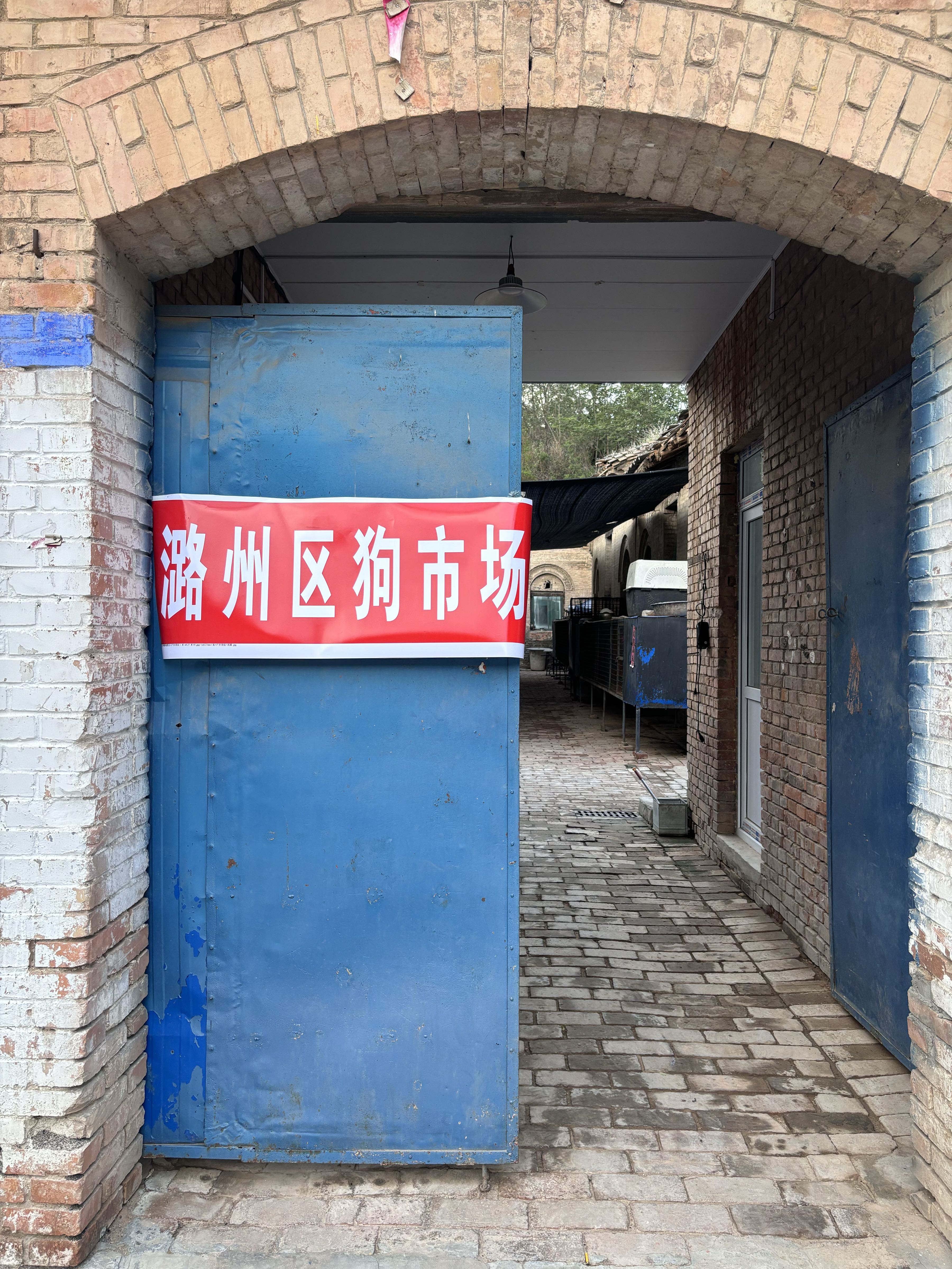 长治市狗市场