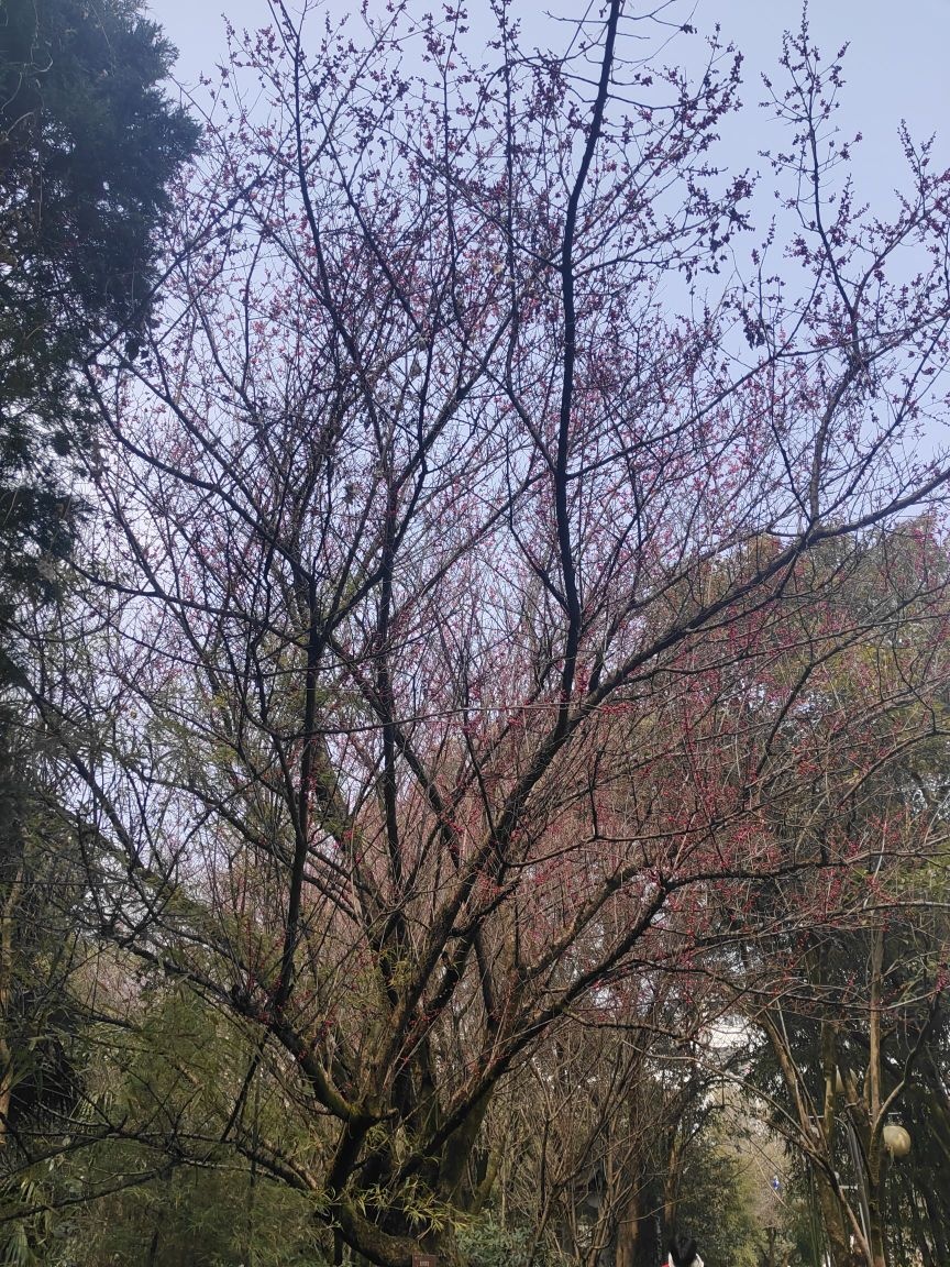 宣城市工业学校