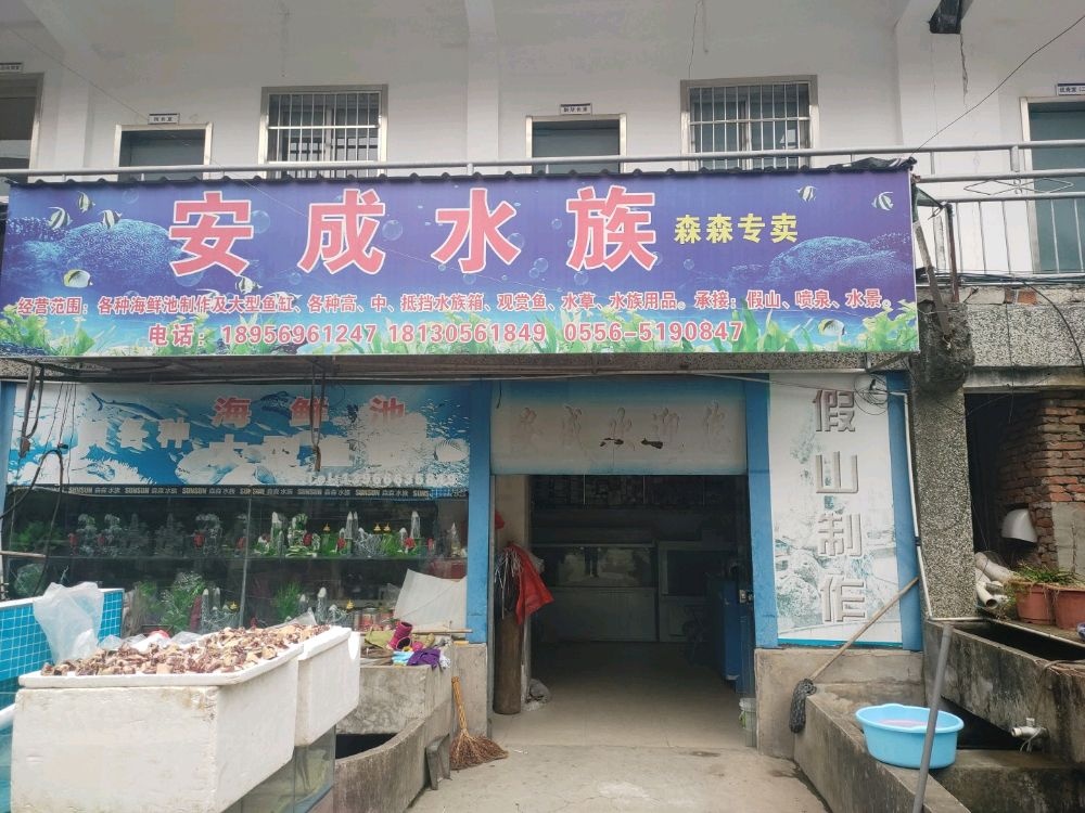 安成水族