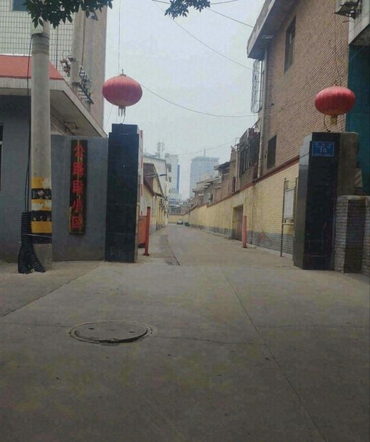 省公路段小区