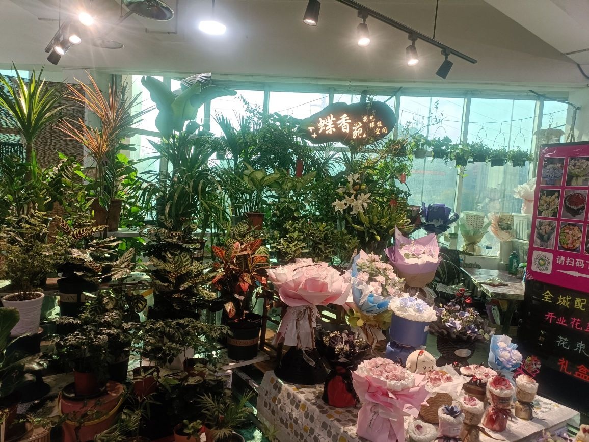 蝶香苑花艺绿植空间