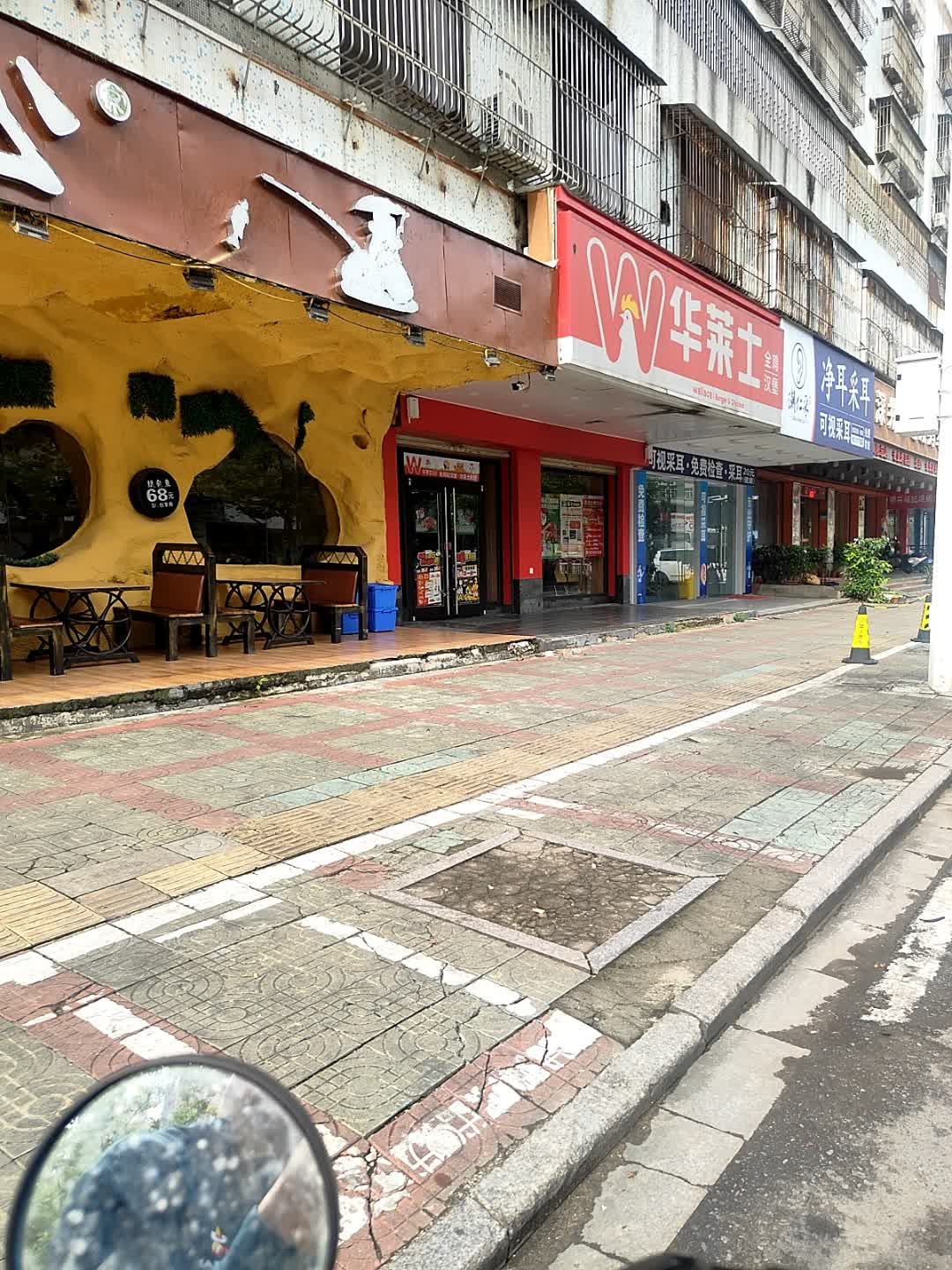 潮仁采净耳采耳