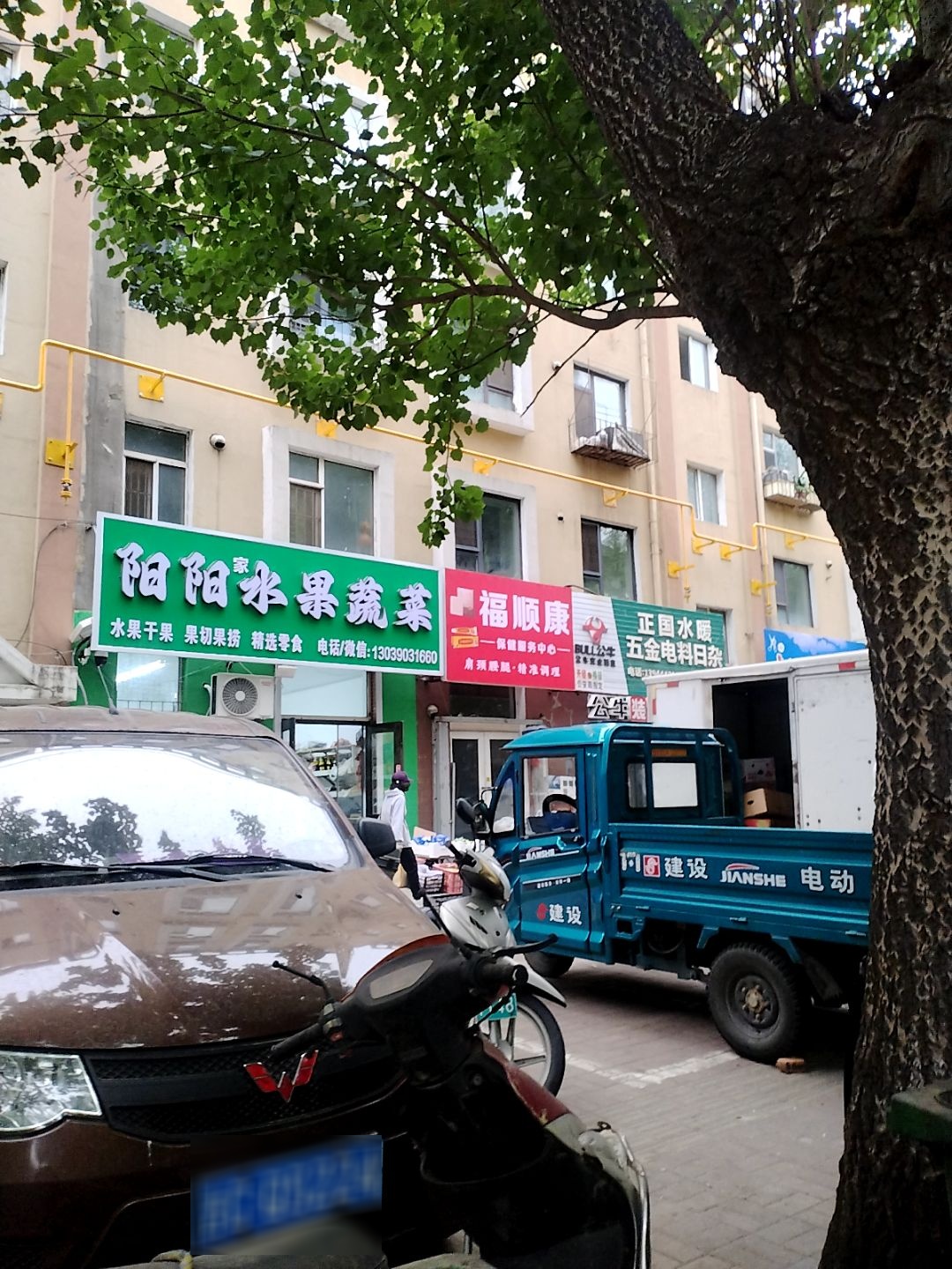 阳阳家水果蔬菜店