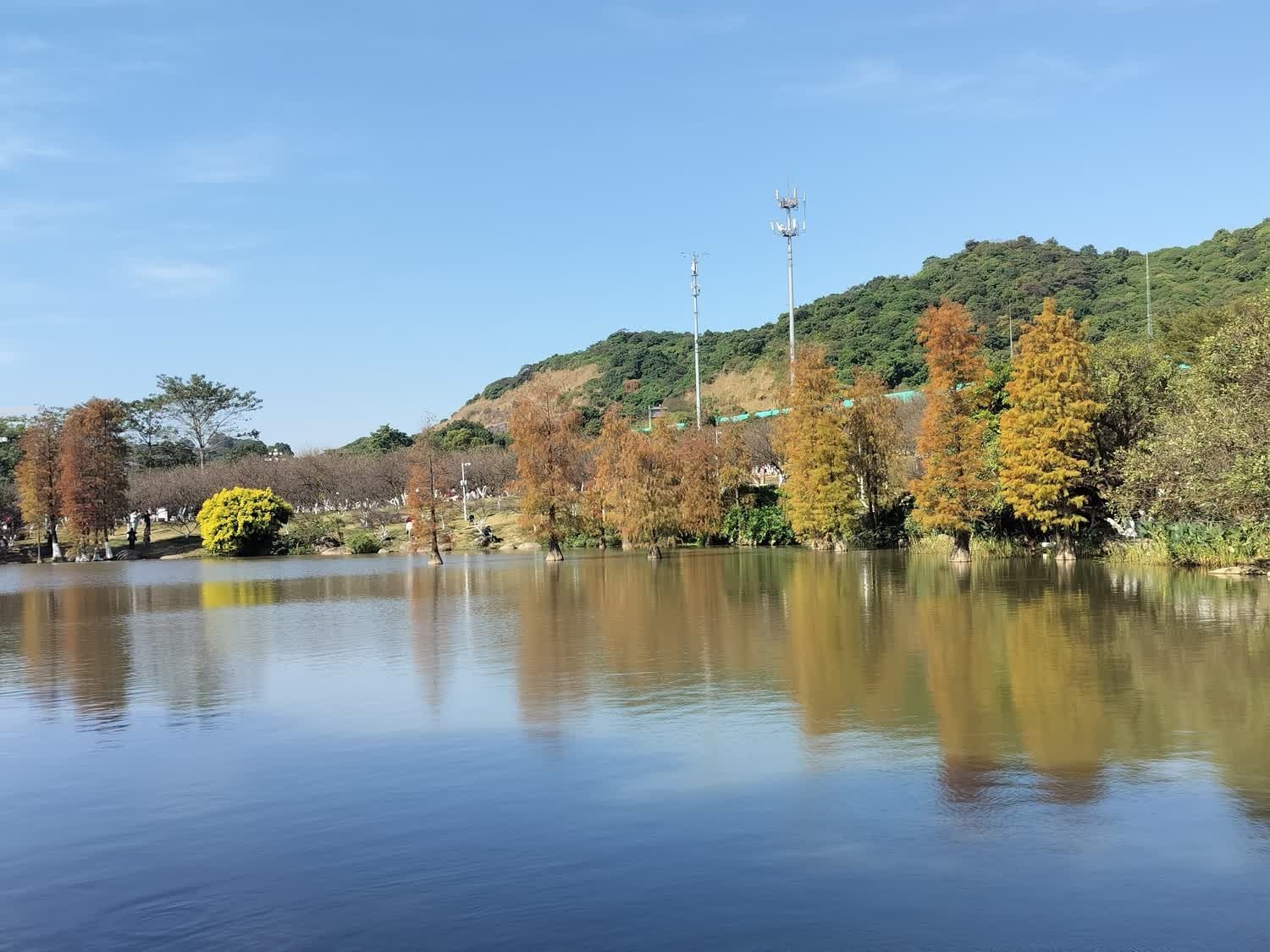 萝岗香雪公园