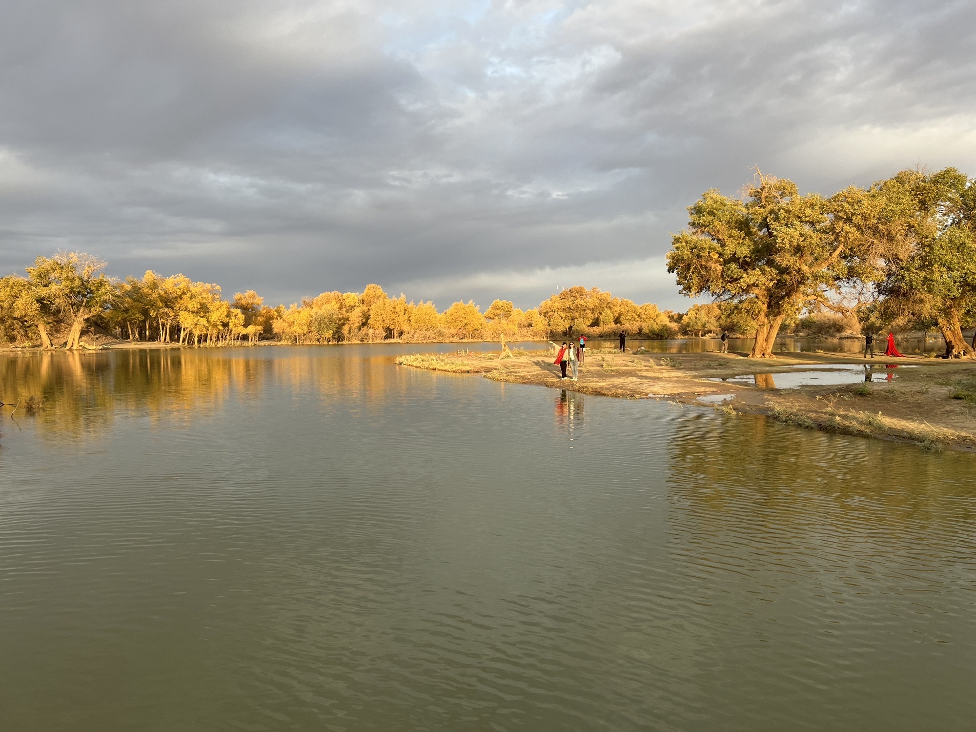 额济纳胡杨林旅游区