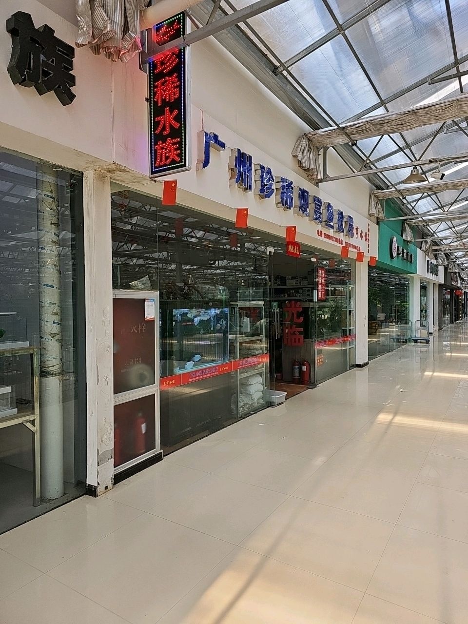 珍稀水族(金三角文化广场店)