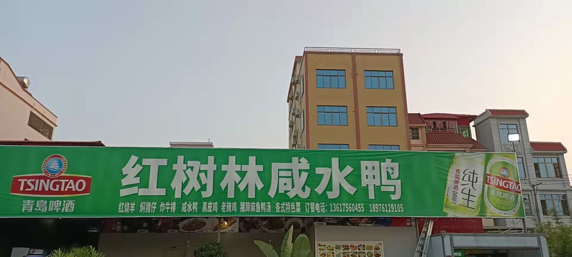 红树林咸水鸭