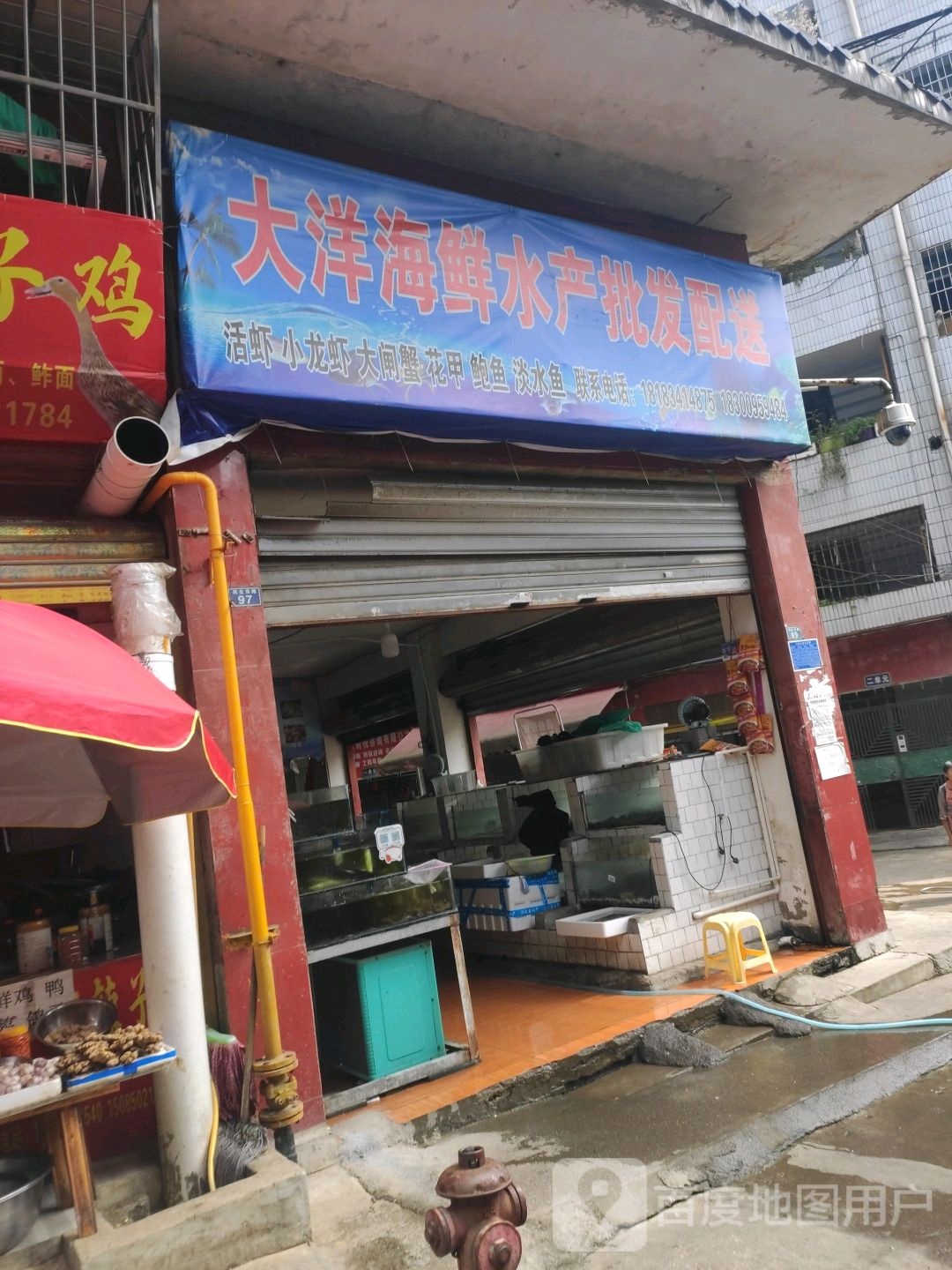 大洋海新水产批发配送