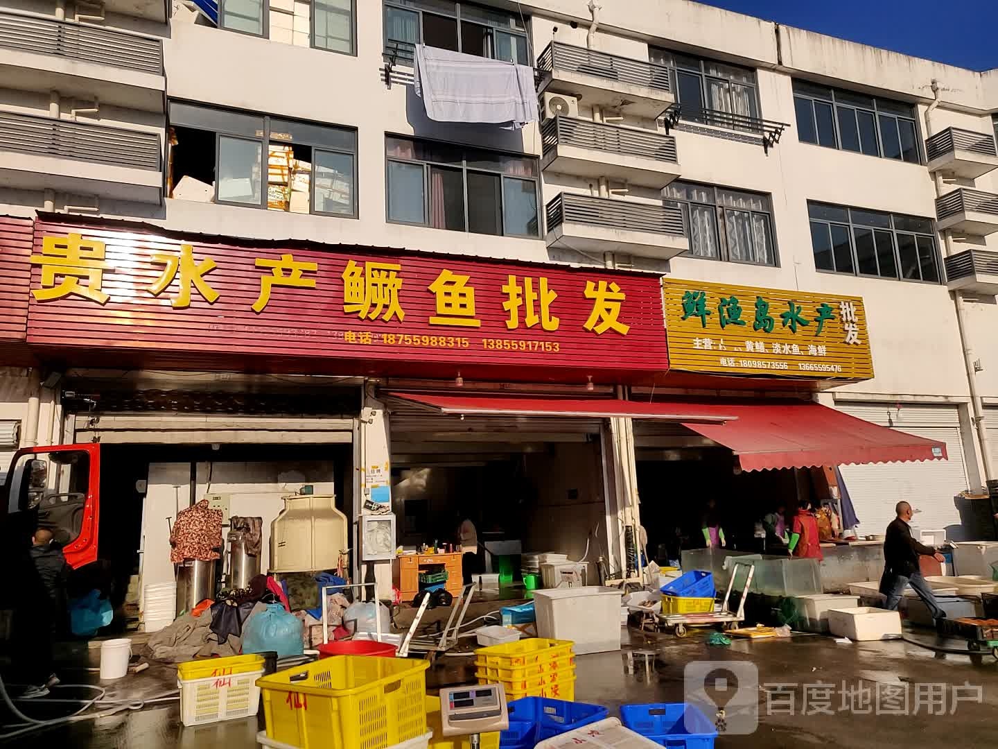 凌氏大富水产鳜鱼批发