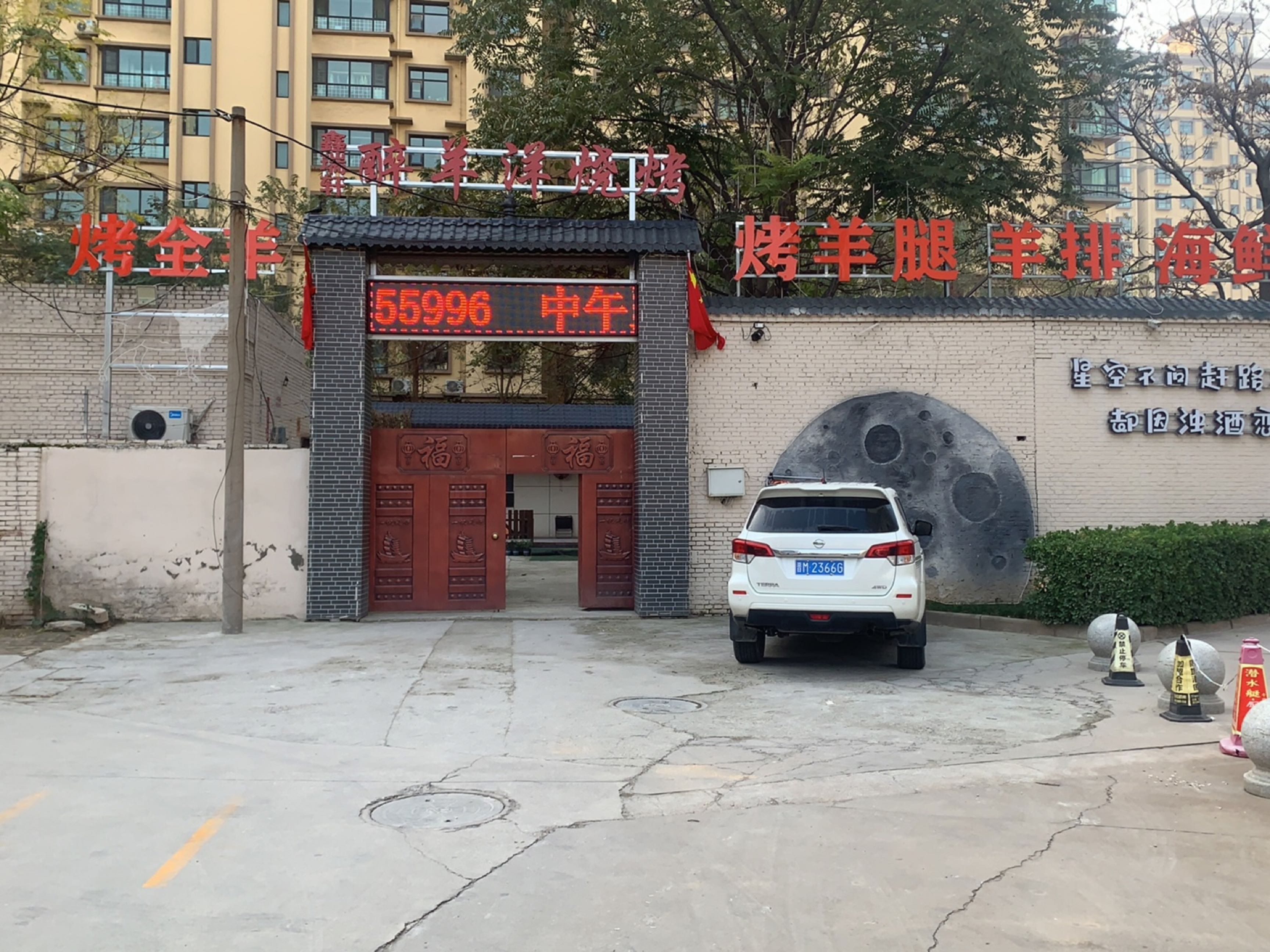 醉羊洋烧烤(条山街店)