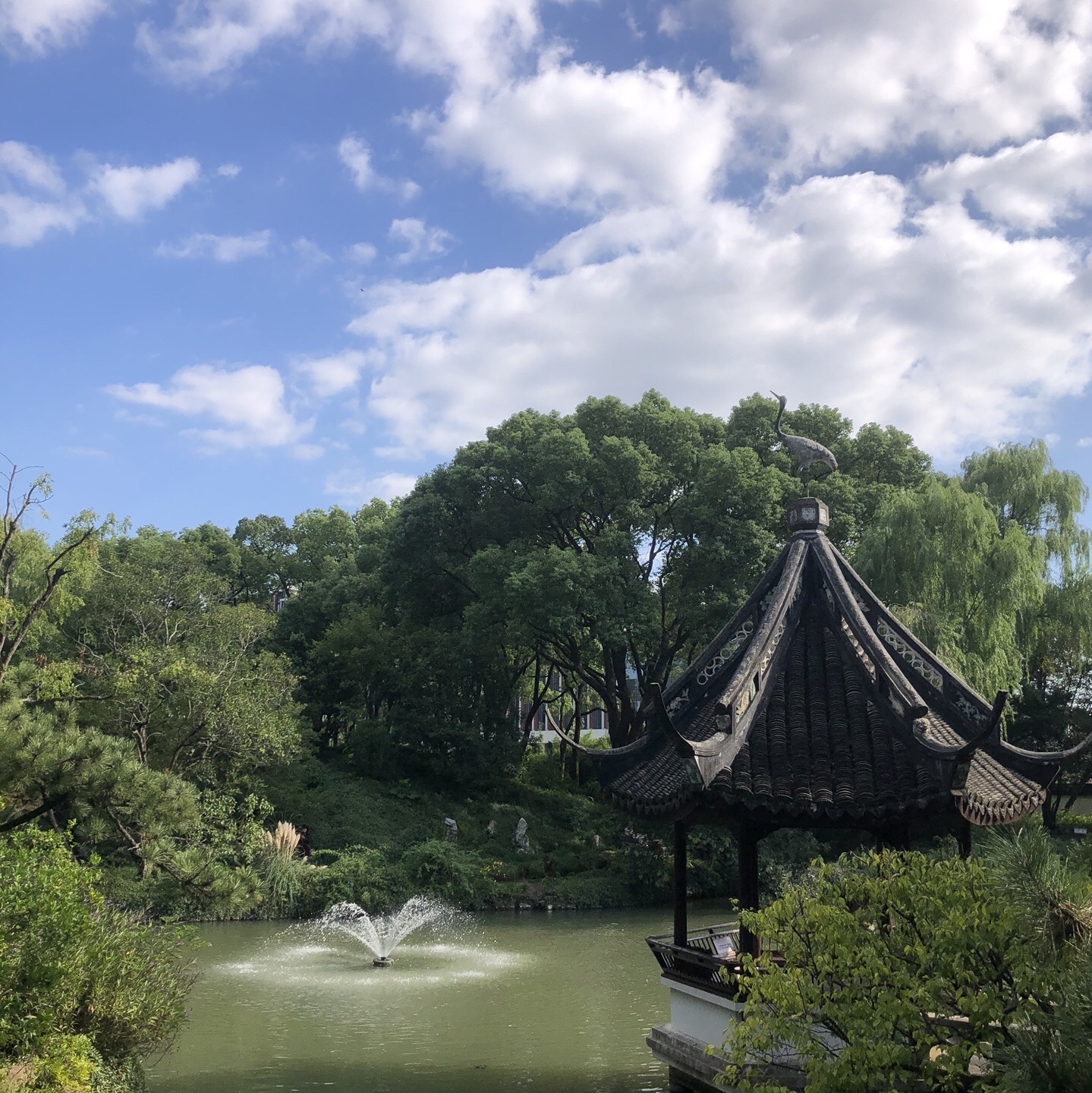 醉白池公园