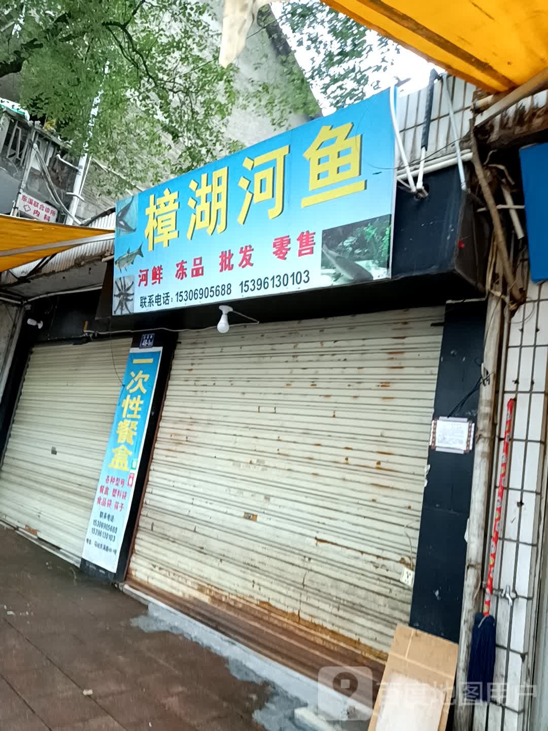 樟湖河鱼