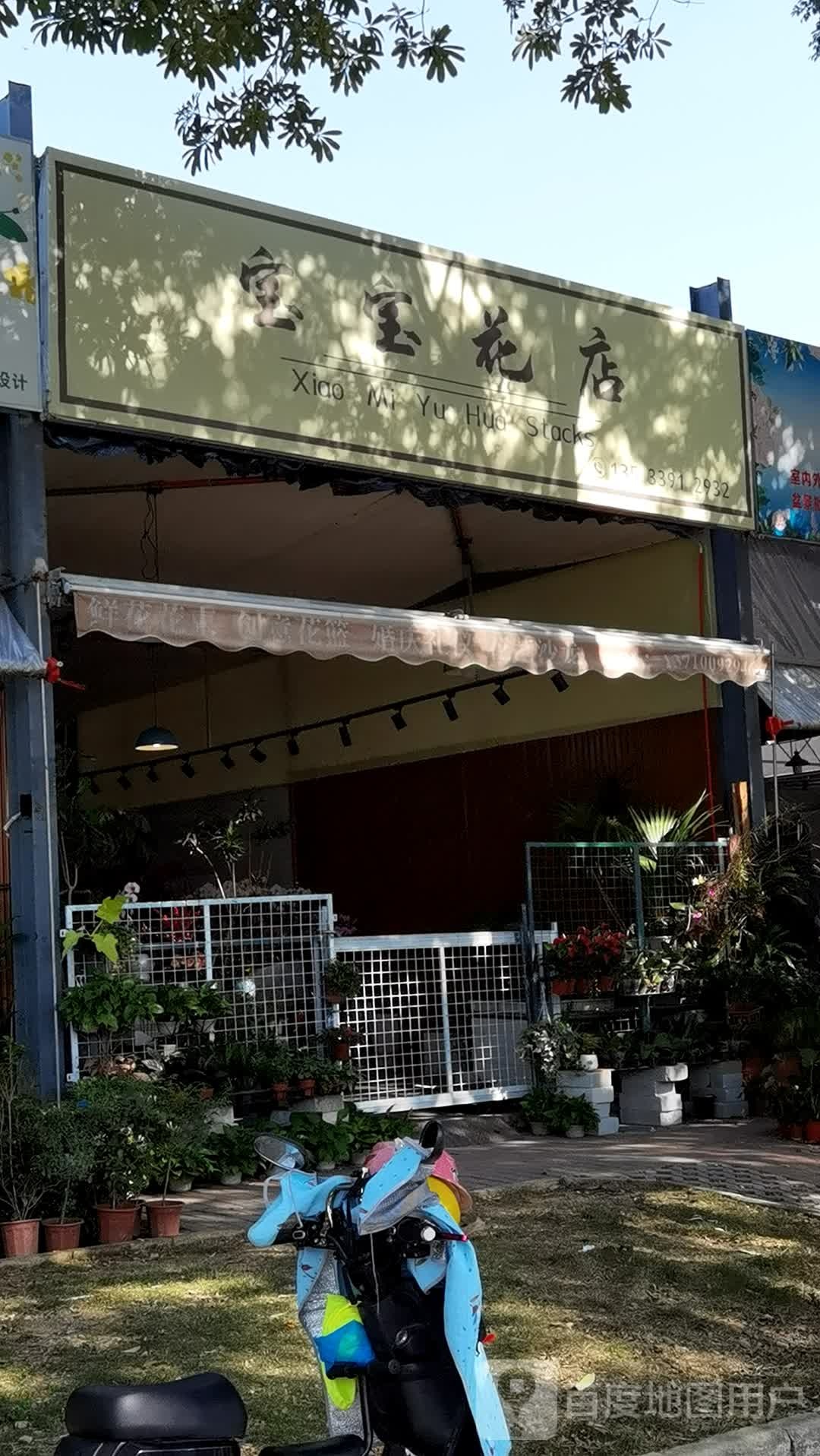 宝宝花店