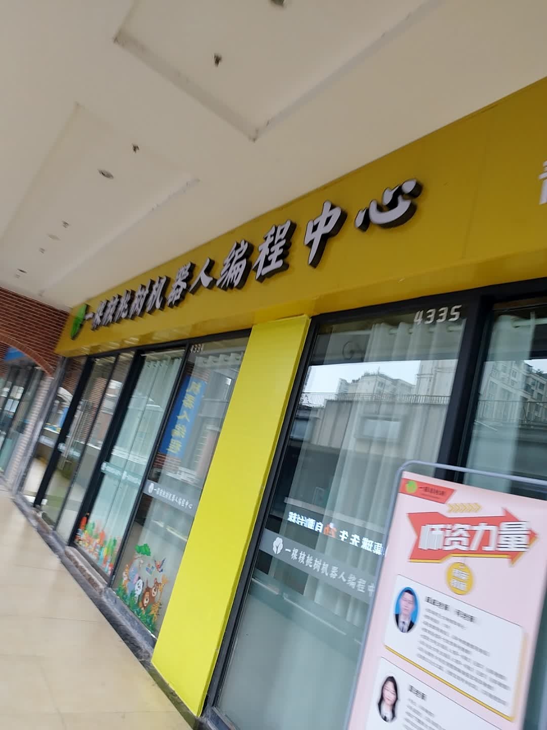 一棵核桃树机器人编程中心