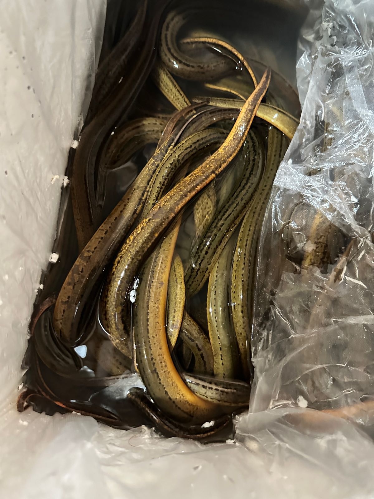 楚留香精致湖北菜