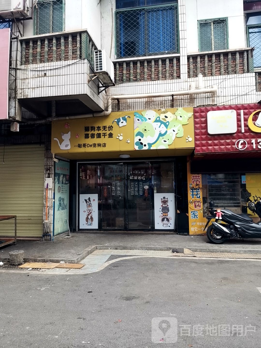 聪哥De宠物店